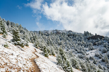 Wall Mural - Storm Castle Peak trail in Custer Gallatin National Forest, Montana. USA. Back to Nature concept.