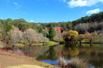 Wall Mural - Mount Lofty Botanic Garden in Adelaide