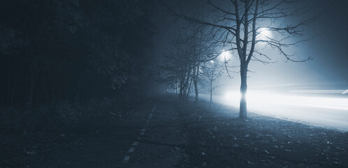 Sticker - The foggy evening in the autumn park