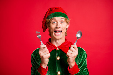 Sticker - Photo of excited crazy elf guy hold spoon fork x-mas christmas fairy feast concept wear green cap isolated on red color background.