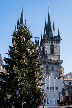 Christmas Tree And Prague Cathedral