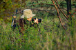 © Fotoforce - photographer taking pictures of wildlife