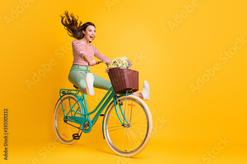 Cuadros en Lienzo Full length body size photo of funny girl shouting riding bicycle keeping legs u