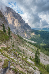 Wall Mural - View at dolomites alps hiking area