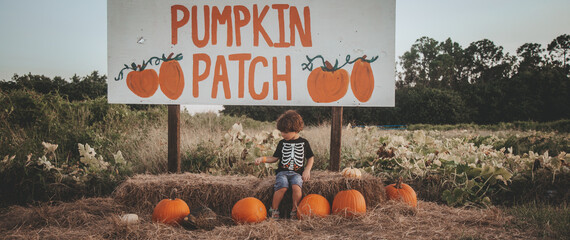 children kids playing in the pumpkin patch and sunflower filed