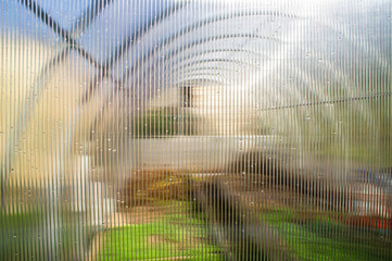 Wall Mural - Greenhouse wall made of polycarbonate plastic close up