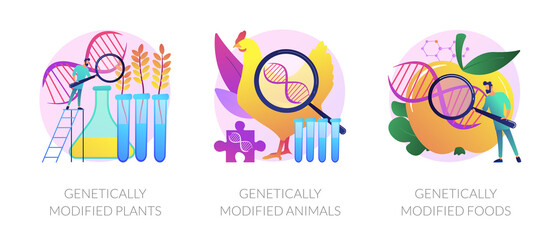 Wall Mural - Gene modification, genetic engineering. Genetically modified plants, genetically modified animals, genetically modified foods metaphors. Vector isolated concept metaphor illustrations.