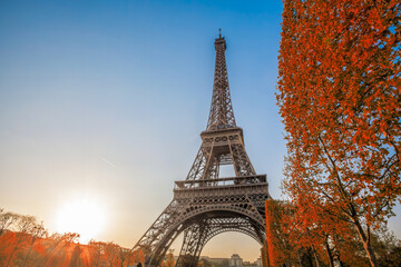 Fototapete - Eiffel Tower with autumn colorful leaves against sunset in Paris, France