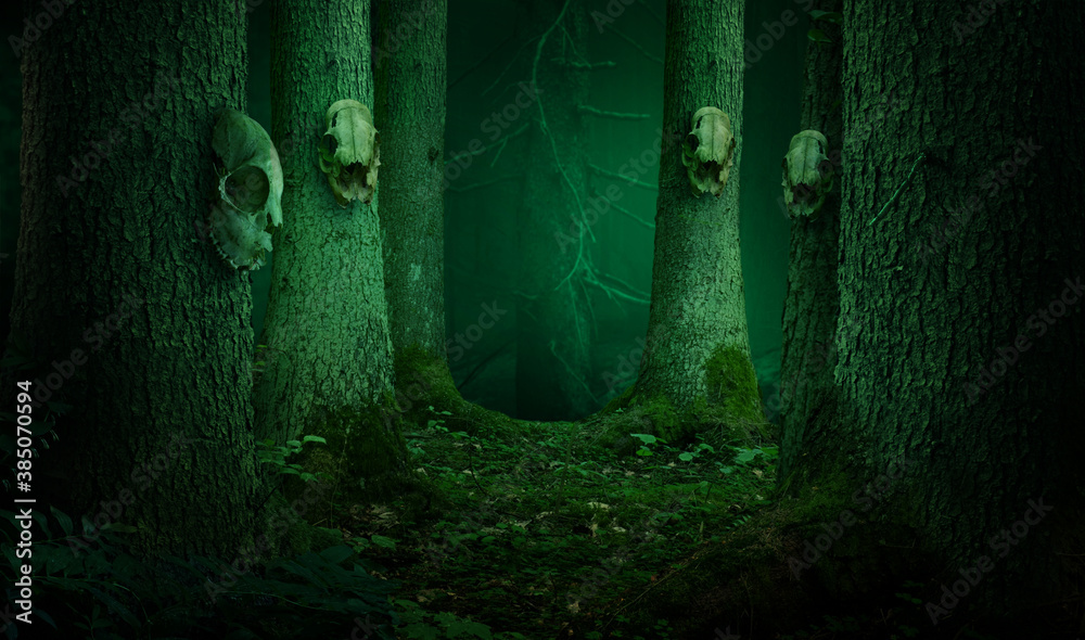 Skulls hanging on the trees in dark enchanted forest. Shamanic pagan ...