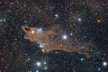 Wall Mural - dark shark nebula ldn1235