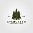 evergreen logo vintage illustration design, pine trees logo