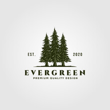 Evergreen Logo Vintage Illustration Design, Pine Trees Logo