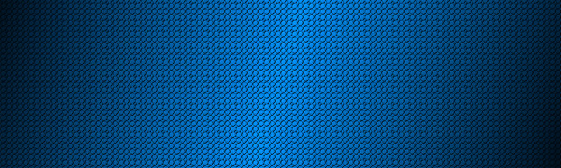 Wall Mural - Blue abstract textured circular header. Modern circle geometric texture backbground. Vector pattern background