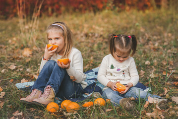 Wall Mural - Two little happy sisters in white christmas sweaters and jeans sitting on the blue plaid and eating oranges fruits in the park in warm autumn day