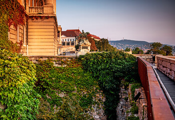 Wall Mural - Royal Palace of Buda in the morning