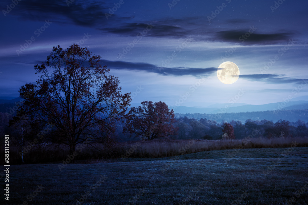 Moon Light Countryside gorgeous countryside at dawn in autumn at night. trees in colorful ...
