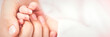 Mothers Hand Holding Newborn Baby's Hand - Infant Care Concept