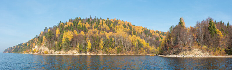 Wall Mural - Panoramic autumn landscape, hilly and rocky shore of the river yellow, Golden leaves.