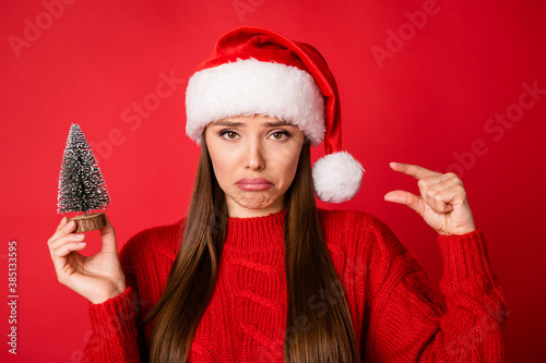 Close-up portrait of her she nice attractive pretty depressed girl holding in hands tiny festal tree showing size bad gift isolated over bright vivid shine vibrant red color background