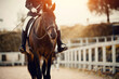 Equestrian sport. Portrait of a dressage horse in training, front view.