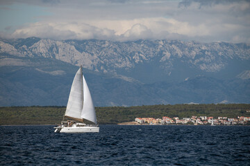 Wall Mural - Catamaran sailing on Adriatic sea clos