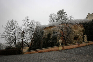 Nitra Castle winter view by morning, Slovakia