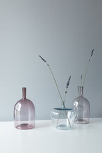 Dried Lavender In Glass Vases