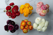 Six Bouquets On Marble