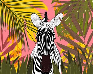 Zebra illustration
