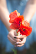 © Anke Scheibe Hochzeitsfotografie/Westend61 - Close-up of woman hand holding red blossom poppy flower