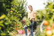 © UWE_UMSTAETTER/Westend61 - Smiling beautiful woman carrying crate while working in vegetable garden