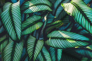 tropical leaves, abstract green leaves texture, nature background