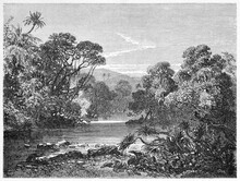 Calm Water Of Kakriman River, Guinea, Surrounded By Lush Jungle Vegetation In Western Africa. Ancient Grey Tone Etching Style Art By Sabatier After Lambert, Le Tour Du Monde, Paris, 1861