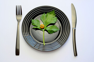 Wall Mural - Green celery leaves in a black plate on a white background. Diet concept.