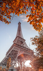 Fototapete - Eiffel Tower with autumn leaves in Paris, France
