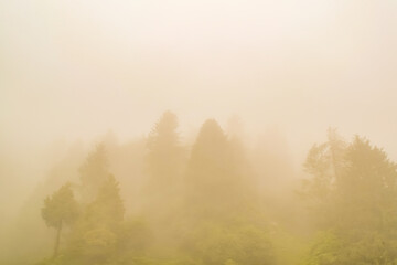 Wall Mural - Silhouette of  forested himalayas mountain slope with the evergreen conifers shrouded in misty landscape view from prashar lake base camp at height of 2730 m  near Mandi, Himachal Pradesh, India.