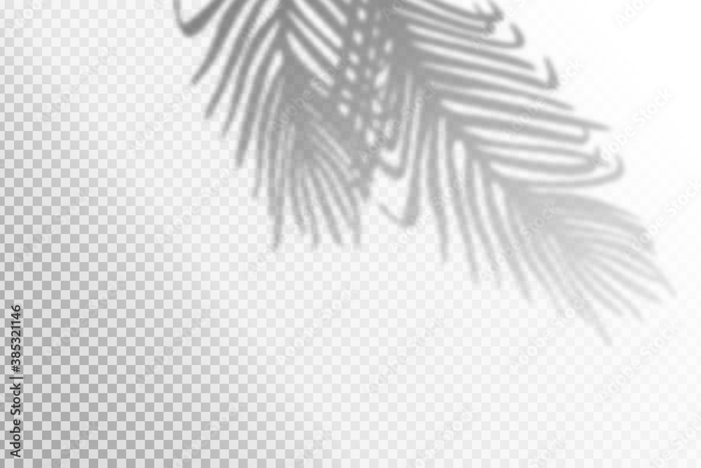 Vector illustration of realistic tropical shadow overlay effect. Blurred transparent soft light shadow of palm leaves. Contemporary mockup background for product presentation - obrazy, fototapety, plakaty 