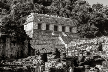 Wall Mural - Maya Temple of Inscriptions in black and white, Palenque, Chiapas rainforest, Mexico.