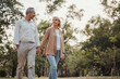 © Yingyaipumi - Romantic and elderly healthy lifestyle concept.Senior active caucasian couple holding hands looks happy in the park in the afternoon autumn sunlight,happy anniversary,happily retired with copy space.