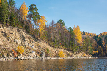 Wall Mural - autumn landscape, picturesque rocky river bank. bright colors of autumn on the trees.
