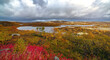 View of the tundra space with vegetation in the autumn. The far north in Russia.