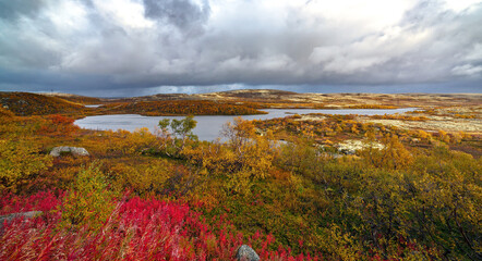 view of the tundra space with vegetation in the autumn. the far north in russia.