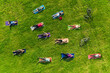 © AmazingAerialAgency - Aerial view of yoga group exercising in park.