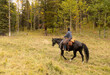 person riding horse in the wilderness