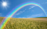 Fototapeta Big Ben - 麦畑と雲と太陽と虹