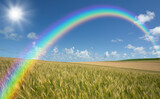 Fototapeta Tęcza - 麦畑と雲と太陽と虹