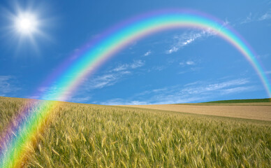  麦畑と雲と太陽と虹