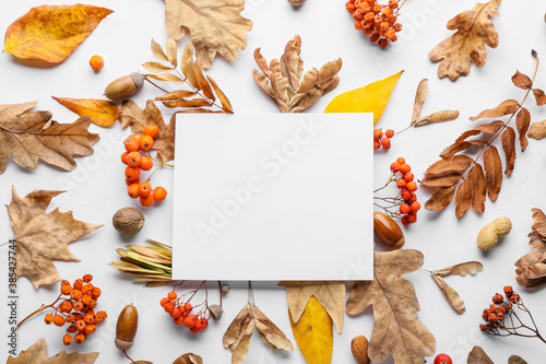 Fotografía Beautiful autumn composition with empty card on white background