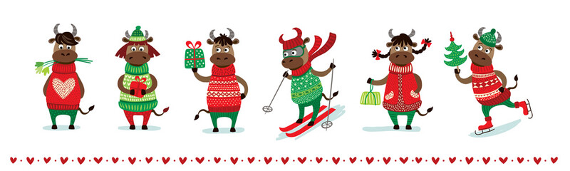 chinese new year of white ox 2021 zodiac - vector set bulls or cows, flat cartoon animals for holida