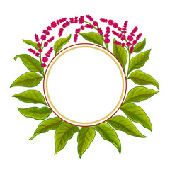 Sticker - amaranth vector frame